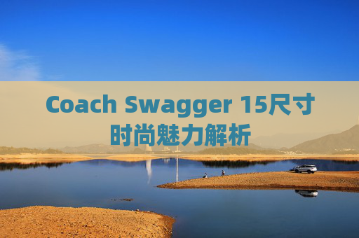 Coach Swagger 15尺寸时尚魅力解析